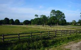 equestrian centre essex, the lawn, rochford